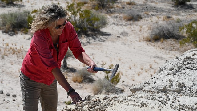 A woman with a pink sun shirt digs into a hill with a metal rock hammer.