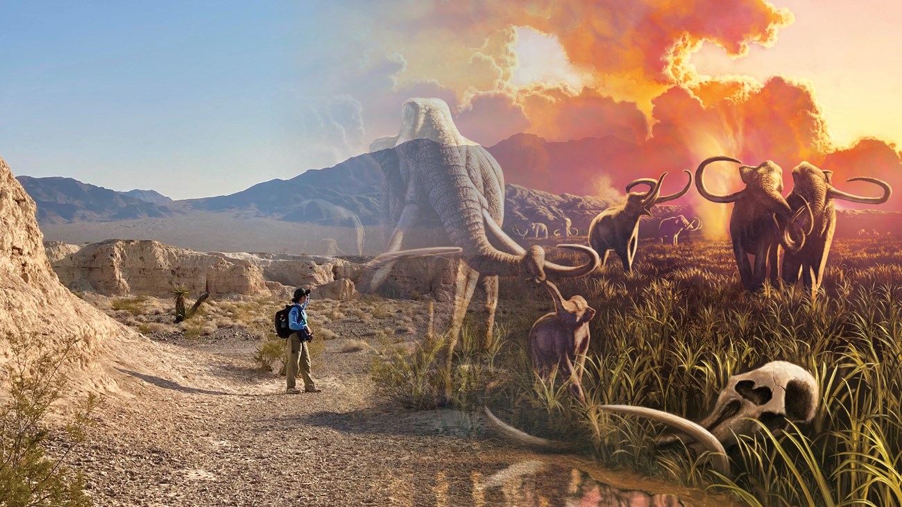 A hiker in desert badlands fades into mammoths in a wetland