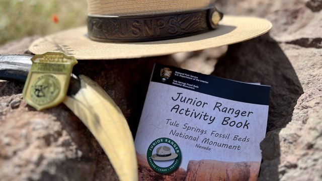 A ranger flat hat, sabertooth cat tooth, junior ranger badge, and a junior ranger book
