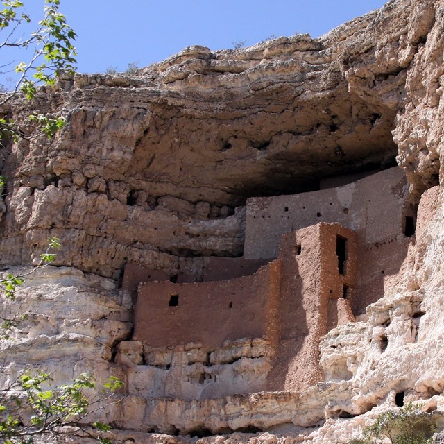 Large cliff dwellings in a limestone bluff