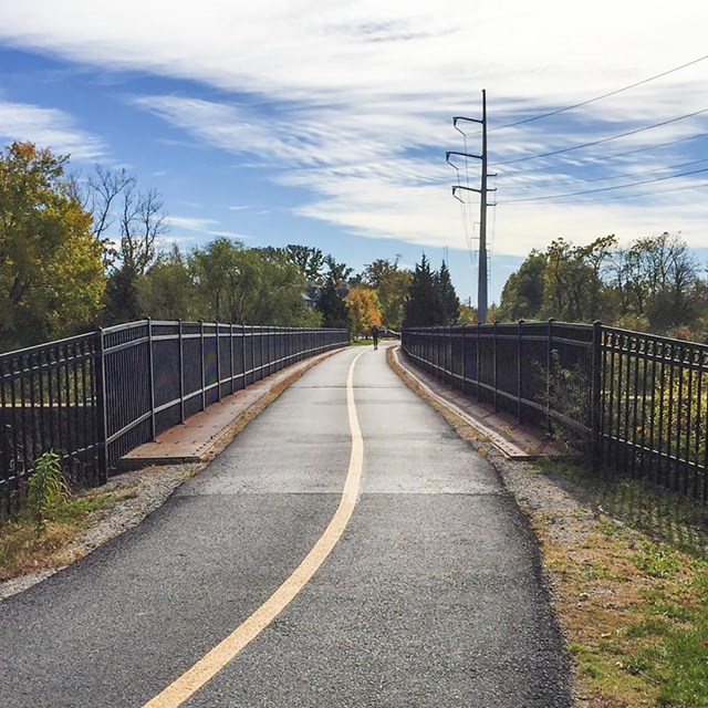 two lane asphalt bike path flanked by trees on both sides. 