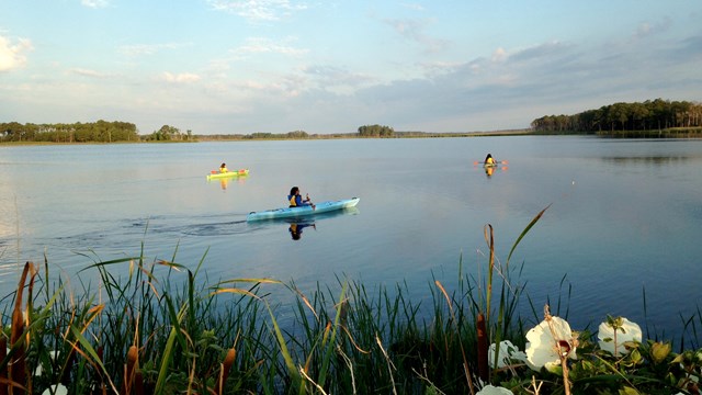 Photograph of person kayaking in the Blackwater Wildlife Refuge in Maryland.