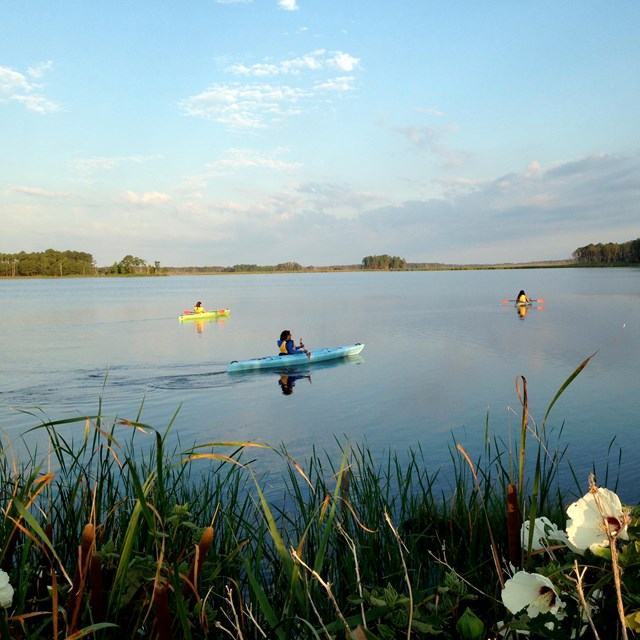 Photograph of person kayaking in the Blackwater Wildlife Refuge in Maryland.