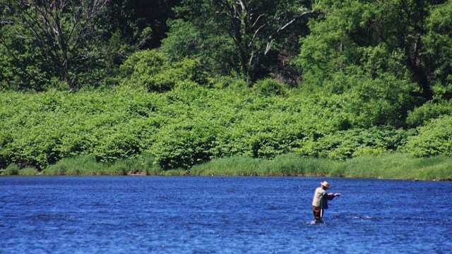 man in hat stands in knee high azure blue river water against greenery 