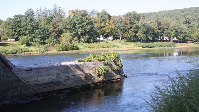 large wooden platform about 3 feet high and 20 feet high sits above water. Leave grow on it.