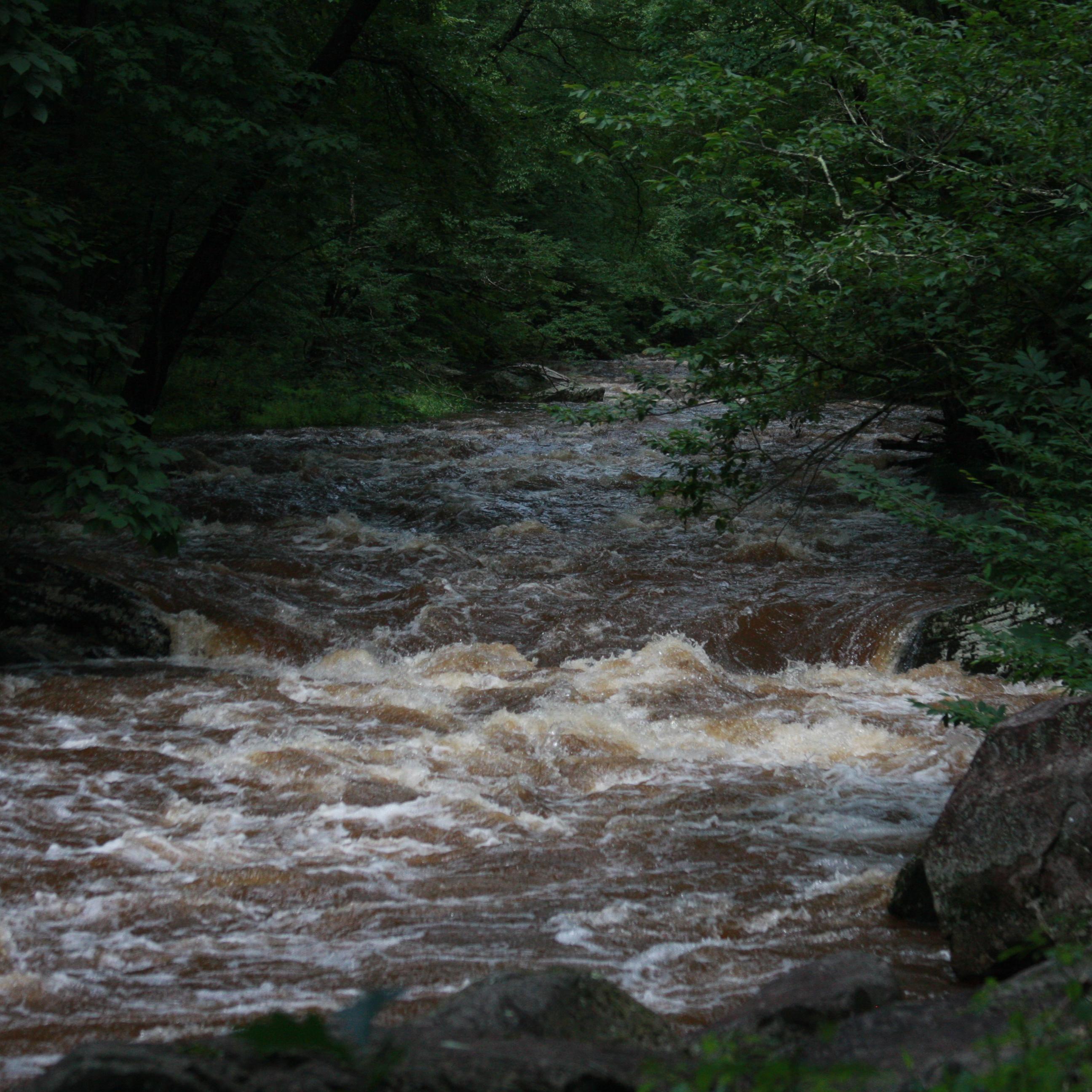 River in forest with high, rough waters. Water is brown with white rapids.