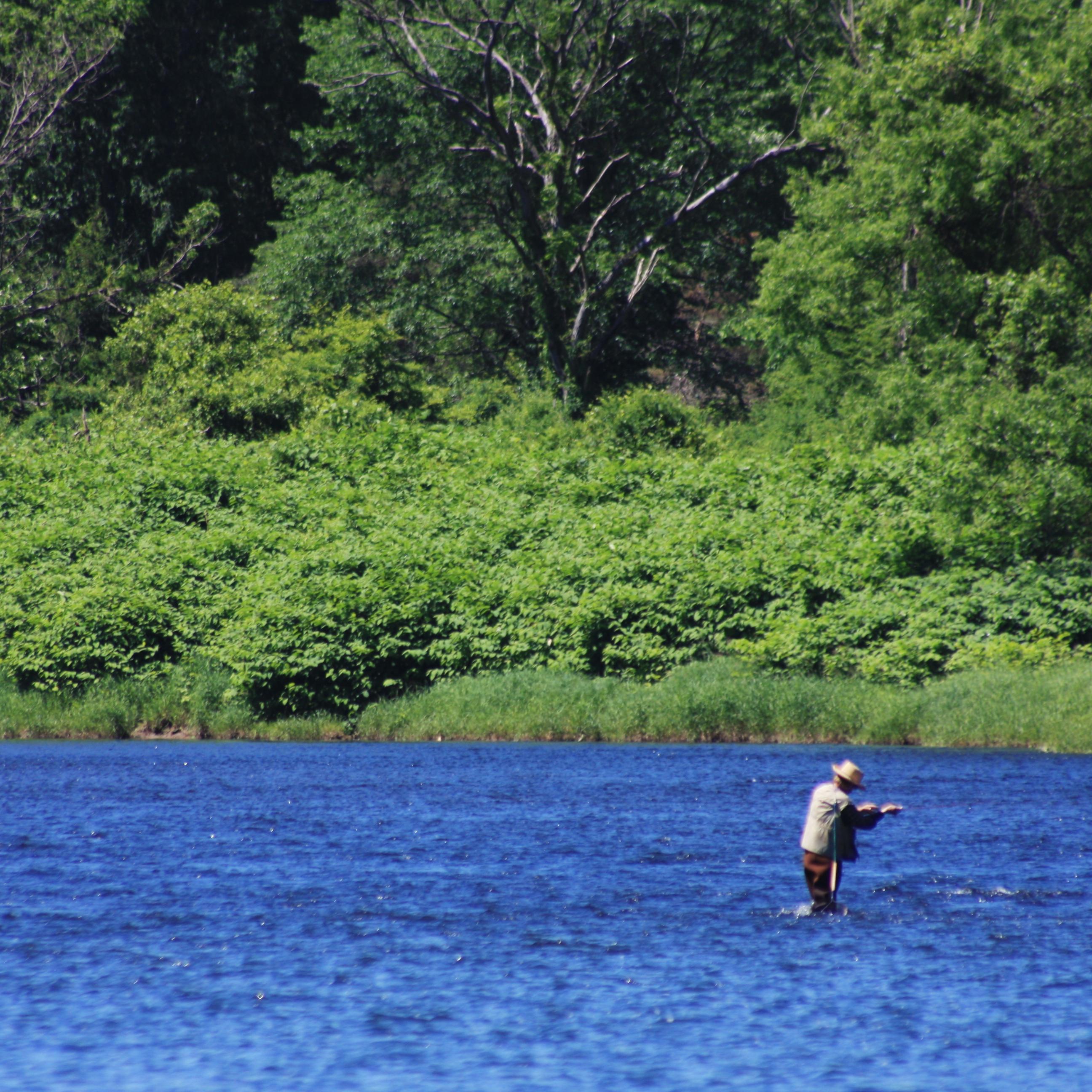 man in hat stands in knee high azure blue river water against greenery 