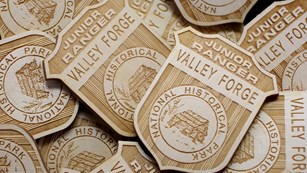 closeup photograph, pile of junior ranger badges