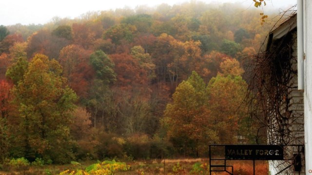 Picture of misty fall meadow and forest next to old farm gate that reads "valley forge"