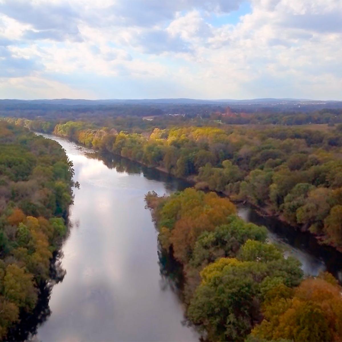 an aerial view of a river cutting through the trees