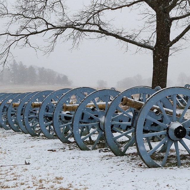 A line of cannons in the snow at Artillery Park.