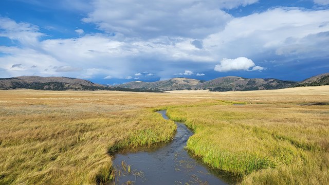 A narrow stream meanders through a montane grassland