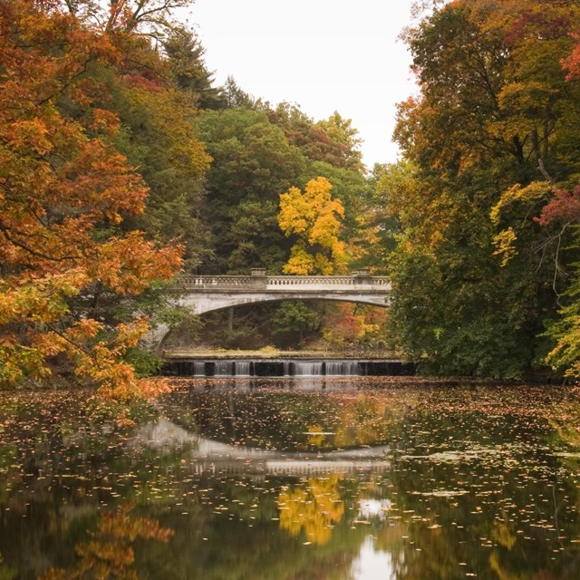 A view of a bridge spanning a creek surrounded by brilliant colored trees.