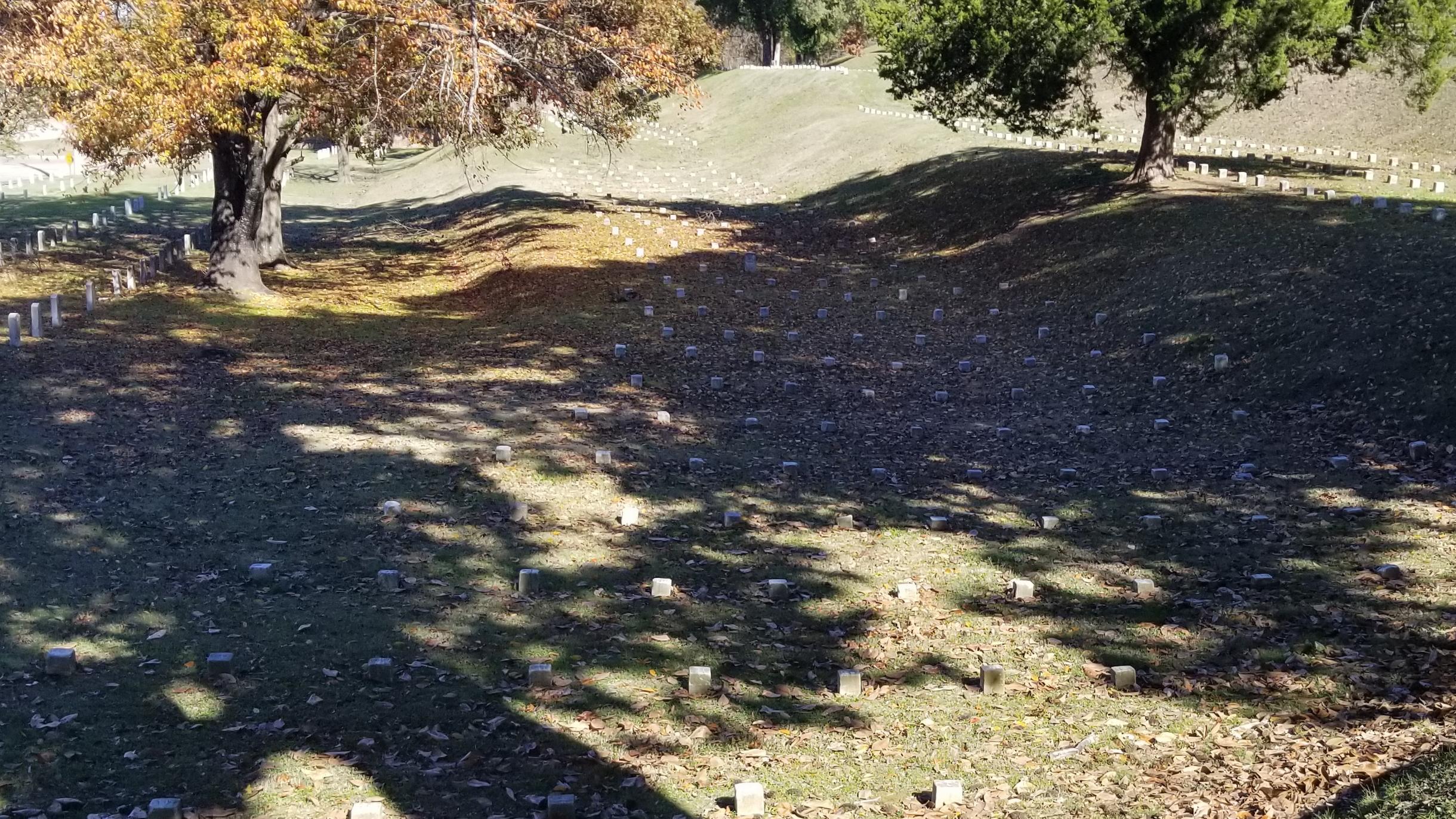 Grassy area with small square white stones in even rows. Area is shaded by trees.