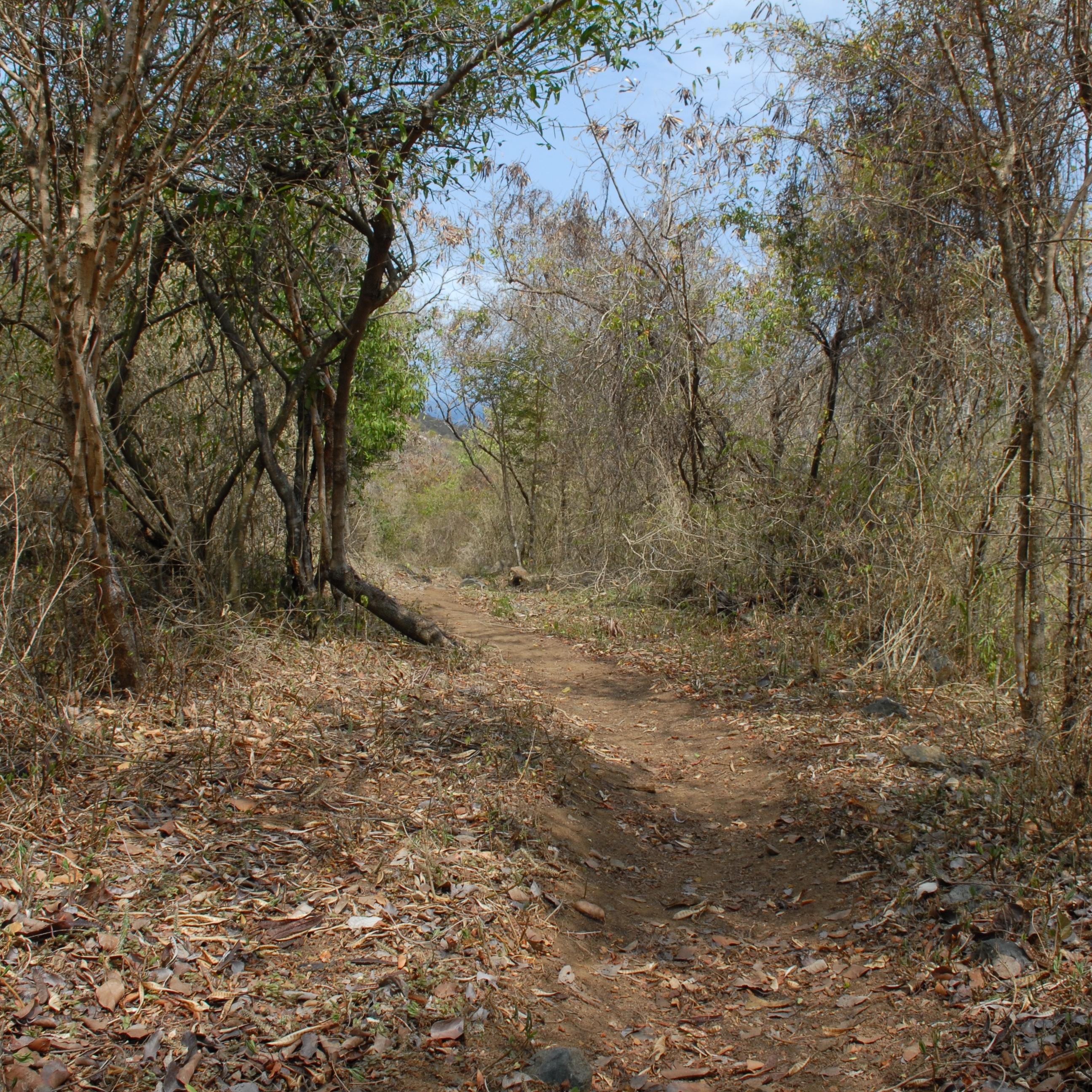 Take a Hike