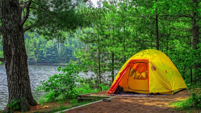 Photograph of yellow tent in lush northern forest.