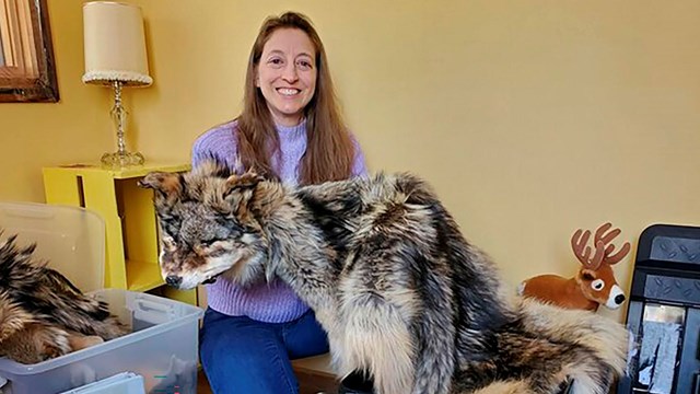 Image of lady holding wolf pelt and props
