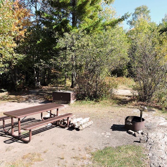 A brown picnic table, fire ring, and metal bear-proof locker sit in a clearing surrounded by trees.