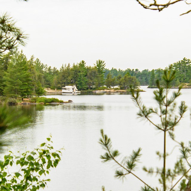 A beached houseboat is framed by a ring of leaves and shrubs growing on the shore of a scenic lake.