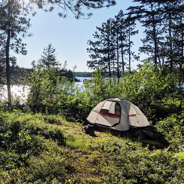 A white tent shaped like a half sphere sits in a sunny forest clearing..