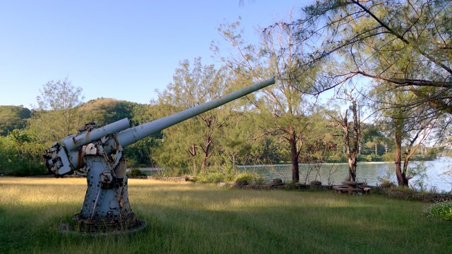 A large mounted gun in the middle of a grassy field
