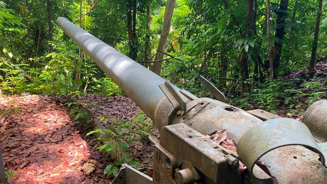 A large metal gun with a long barrel pointing into the forest.
