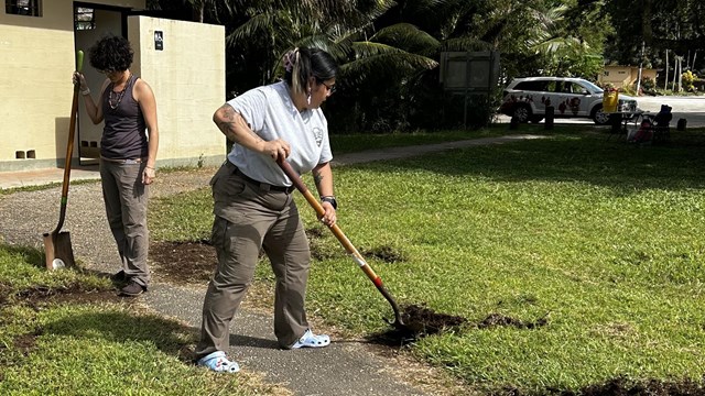 Volunteers cleaning an overgrown path at the Ga'an Point Unit