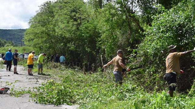 Volunteers clearing overgrown shrubbery at Apaca point 