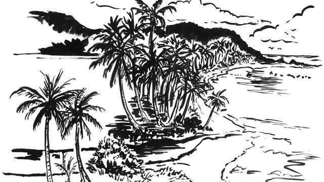 Self Guided Trail Booklet