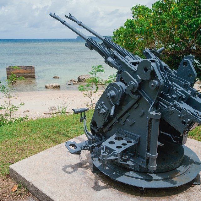 A large, two-barreled mounted gun on a concrete platform overlooking the beach and ocean.