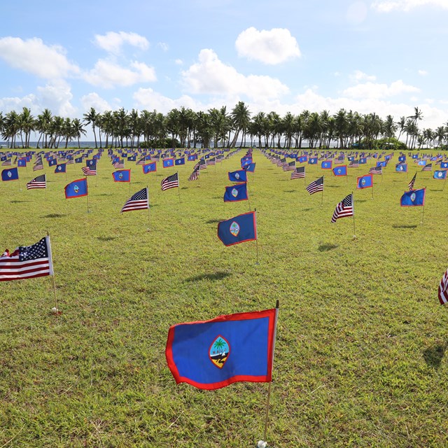A field full of small Guamanian and American flags. In the background is the ocean.