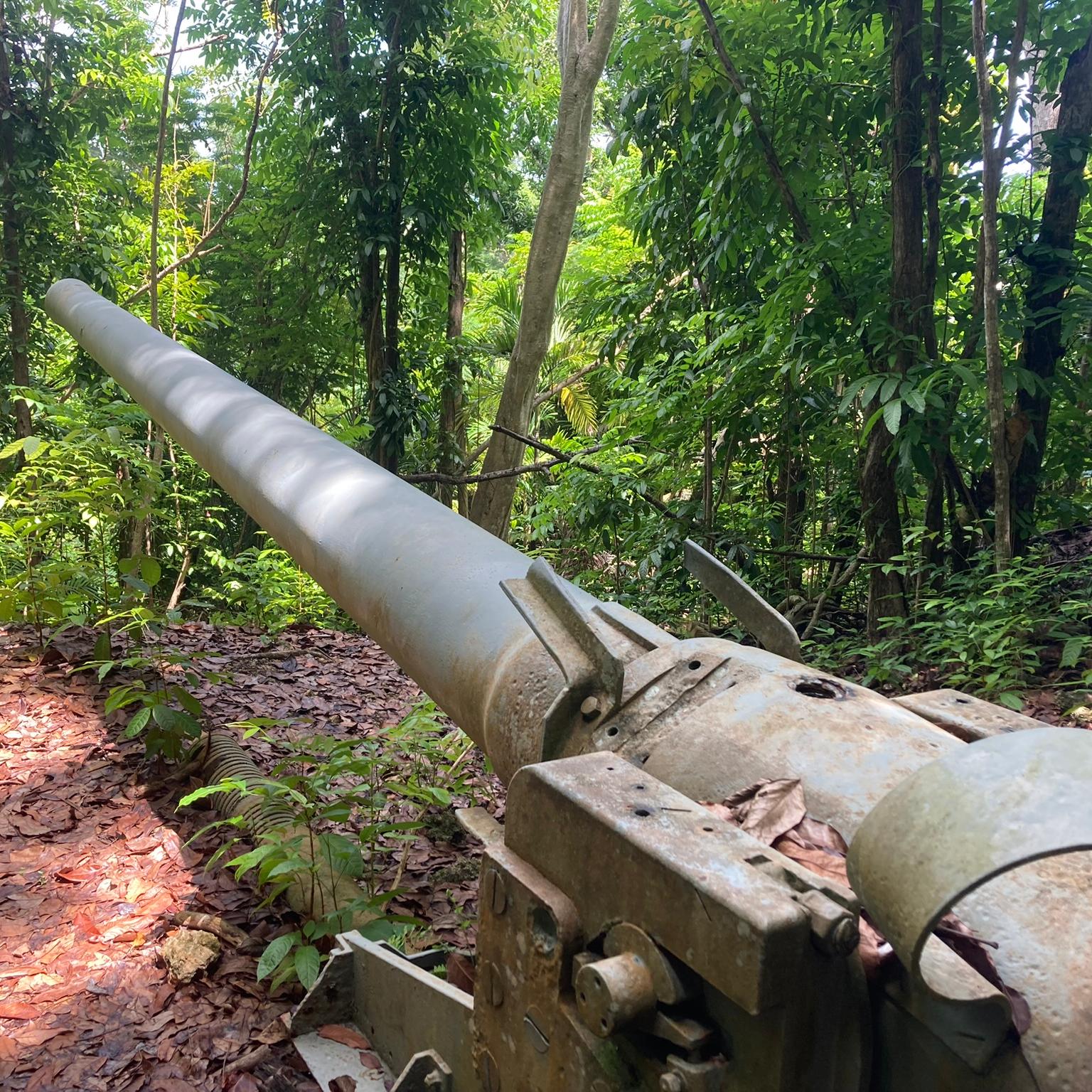 A large mounted gun pointing into the jungle.