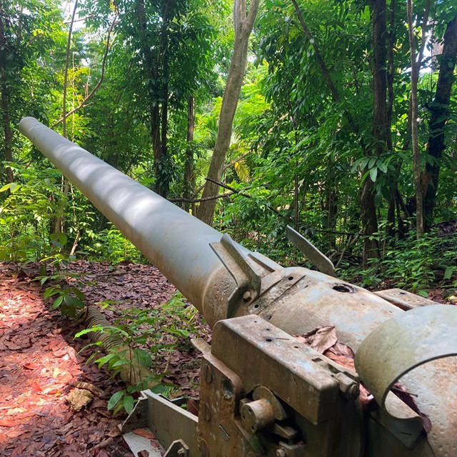 A large mounted gun pointing into the jungle.