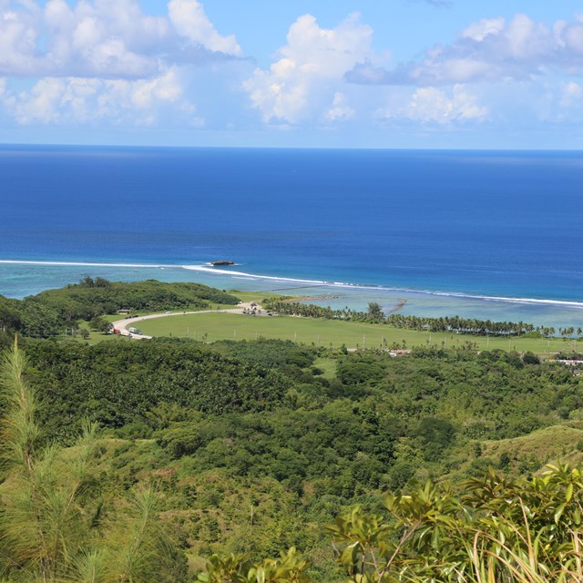 View looking down at a large grassy area lined with palm trees next to the ocean.