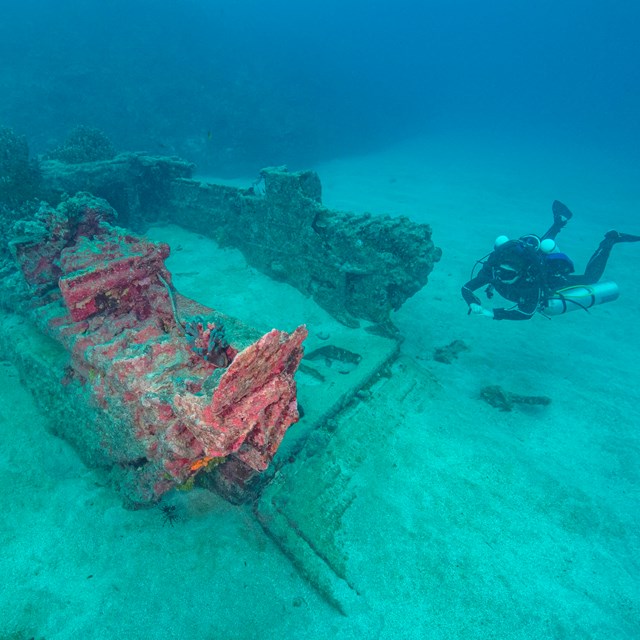A woman scuba diving next to the wreck of an Amtrac amphibious tractor