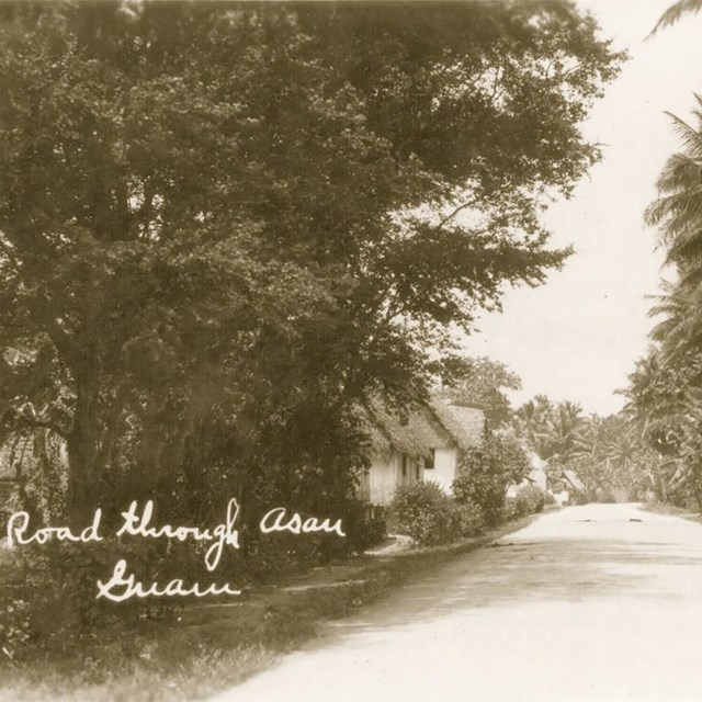 Road through a village. Left side is lined with palm trees; right side with wooden houses.