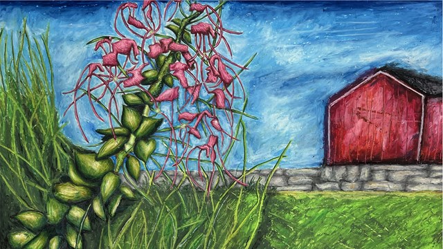 Image of painting 'Spider Flower at Weir Farm' by 2023 Teen Award Winner Mateo Soni