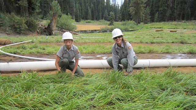 two smiling employees in hard hats crouch by their work in a wetland being restored