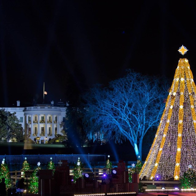 National Christmas Tree and White House in background