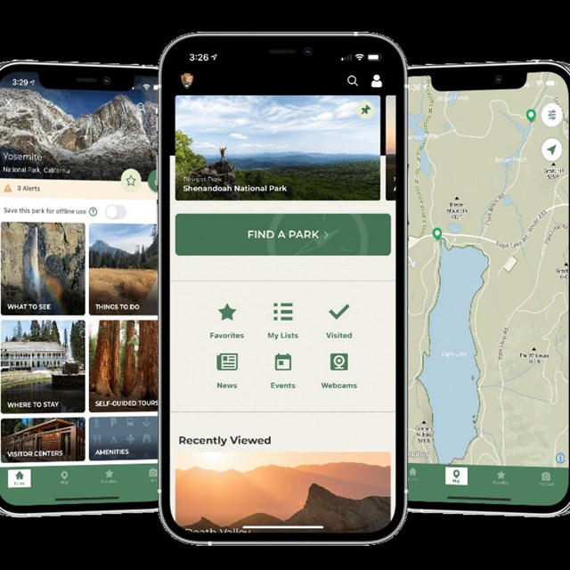 Three Phones displaying NPS App