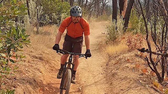 Man riding a bike through the woods on a dirt trail. 