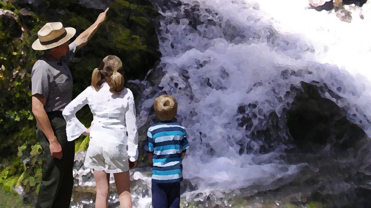 Two people wearing hats hiking on a trail through small trees and brush.