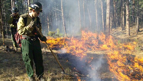 a wildland firefighter standing next to a small forest fire tamping down burning grass