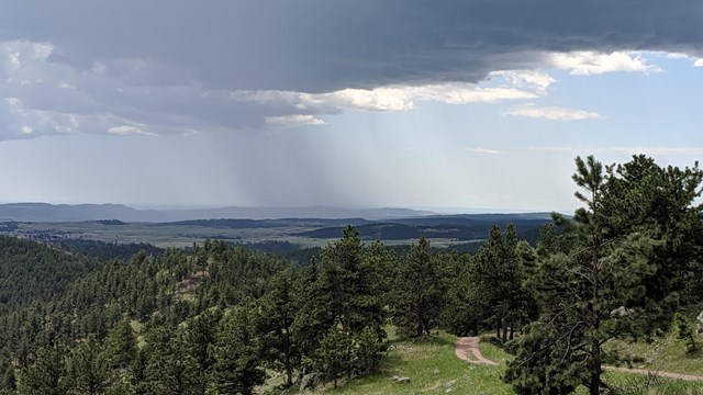 Storm moving over the prairie and forest from the Rankin Ridge fire tower.