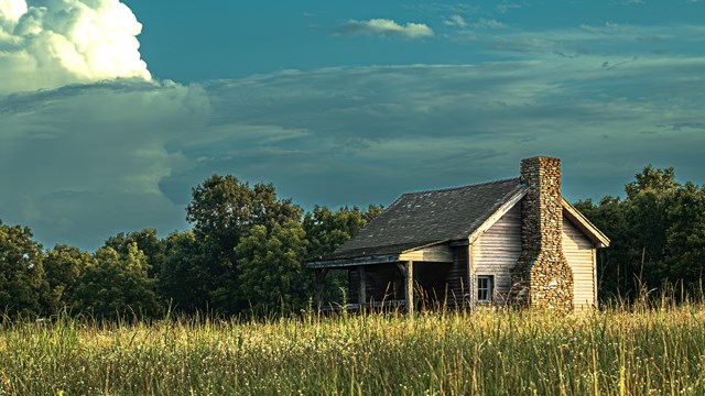 A cabin is surrounded by tall grass, trees. Above is a clear blue sky. 