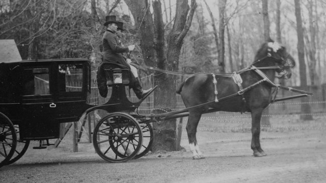 Black and white photograph of horse drawn carriage with a driver.  