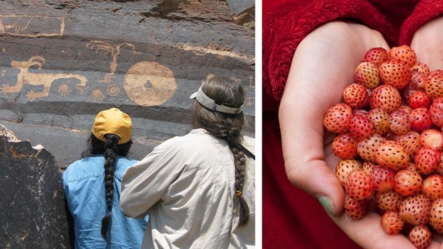 Photo collage including people viewing petroglyphs, hands holding foraged berries, and a painter.