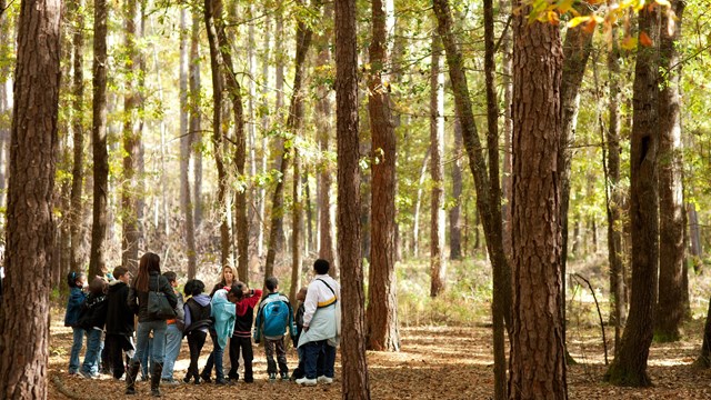 School kids learn about their local wilderness at Congaree National Park.