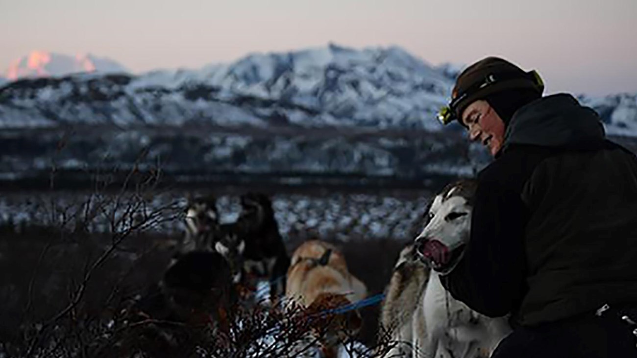 Jen Rafaelli checks on a sled dog in the wilderness.