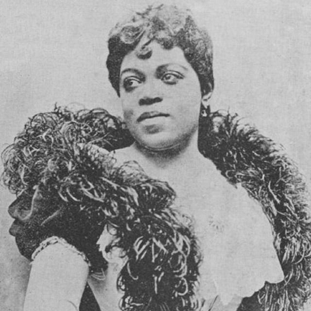 Photograph of African American woman wearing gown and boa